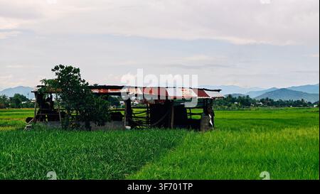 Bauernhöfe auf dem Land Stockfoto