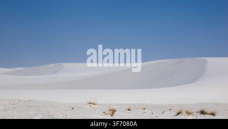 Weiße Gypsanddünen im White Sands National Park in New Mexico, USA Stockfoto