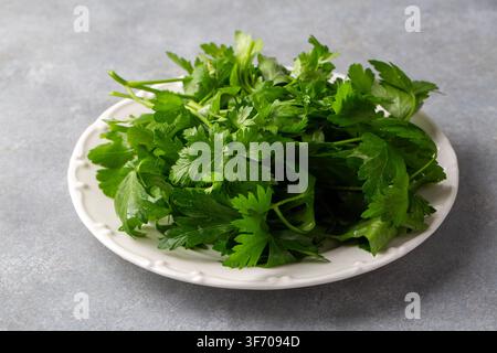 Frischer grüner Flachblatt-Petersilie (Petroselinum crispum) auf einem weißen Teller vor grauem Hintergrund Stockfoto