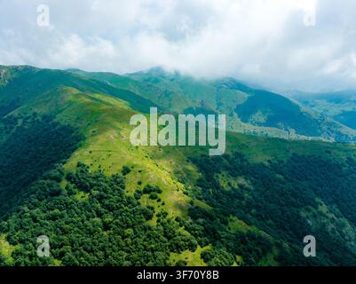 Luftaufnahme von sanften grünen Hügeln, die mit dichtem Wald bedeckt sind. Wolken ziehen in weichem Licht über Bergkämme. Die Vegetation gedeiht auf unterschiedlichen Hängen Stockfoto