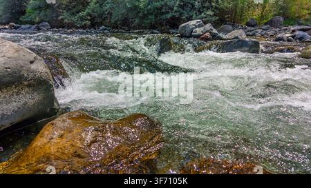 Klares, schnell fließendes Flusswasser strömt über glatte, moosbewachsene Felsen. Das Wasser spritzt und wirbelt um die abgerundeten Steine Stockfoto