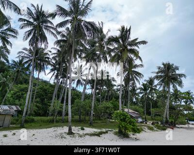 Luftbild der Linapacan-Insel mit üppigen Palmen, weißem Sandstrand und kleinen Hütten unter einer bewölkten Himmel in Mimaropa, Philippinen. Stockfoto