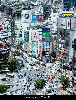Eine Hochwinkelaufnahme zeigt die berühmte Shibuya-Kreuzung in Tokio, die mit Fußgängern überfüllt ist und von beleuchteten Werbetafeln umgeben Stockfoto