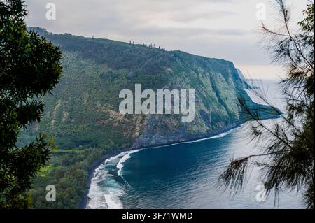 Steile grüne Meeresklippen ziehen sich entlang eines schwarzen Sandstrands im Waipio-Tal auf der Insel Hawaii, während Wellen entlang der Küste brechen. Stockfoto