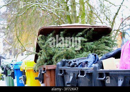 ein weggeworfener Weihnachtsbaum in einer städtischen Außenumgebung während der Übergangszeit zwischen den Jahreszeiten, mit schneebedeckten Ästen und Mülltonnen. Stockfoto