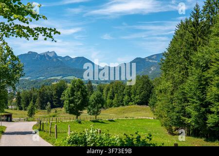 Pittoreske Alpenlandschaft mit grünen Wiesen, dichten Wäldern, einer sich windenden Straße und Berggipfeln unter blauem Himmel Stockfoto