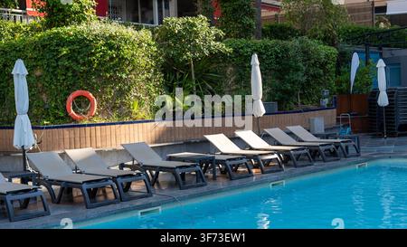 Hotel-Schwimmbad mit Sonnenliegen und tropischem Garten Stockfoto