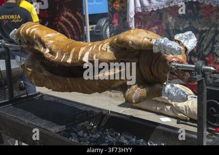 Nahaufnahme von gegrilltem Ferkel auf einem Außengrill, Volksfest, Chișinău, Chișinău, Chișinău, Republik Moldau, Moldau, Osteuropa Stockfoto