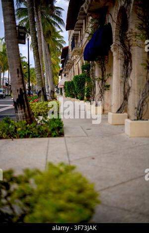Palm Beach, FL, USA. 4. AUG 2026. Ein Blick nach Osten die historische Worth Avenue hinunter in Richtung Atlantischer Ozean. Die Worth Avenue Association wirbt für die Sommerveranstaltung „Wednesdays on Worth“ bis zum 12. August 2026 mit Einzelhandelsaktionen, Mittwochsrabatten, kostenlosen Erfrischungen und exklusiven Erlebnissen von teilnehmenden Boutiquen und Restaurants. Stockfoto