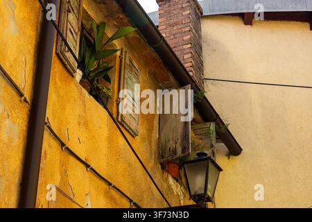 Eine verwitterte gelbe Wand mit Holzläden steht im sanften Tageslicht in Lovran, Kroatien. Topfpflanzen stehen auf der Fensterbank über einer Metalllaterne. Stockfoto