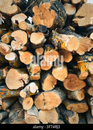 Gestapelte Feuerholzblöcke in ländlicher Umgebung Stockfoto