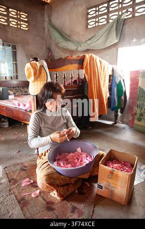 Kambodschanische Frau stellt künstliche Blumen in einer Heimwerkstatt in Phnom Penh, Kambodscha, her. Stockfoto