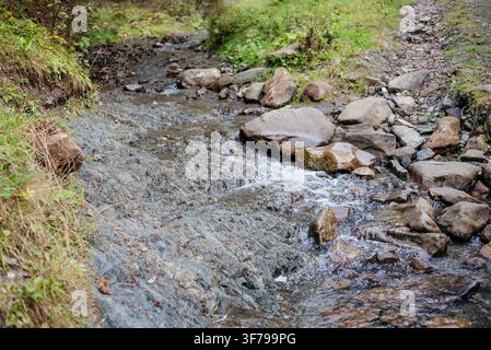 Kleiner Waldwasserfall, der über natürliche Felsformationen in einen klaren Bach fließt, umgeben von üppiger grüner Vegetation. Friedliche Waldlandschaft mit frischem Wasser, moosbewachsenen Steinen und ruhiger Natur bei Tageslicht. Stockfoto