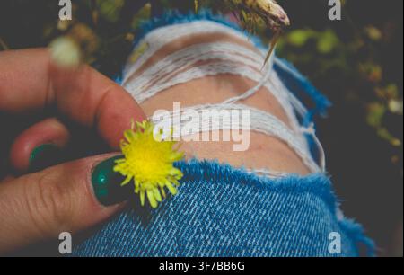 Nahaufnahme einer Hand, die eine gelbe Wildblume gegen eine Person hält, die blaue Jeansshorts trägt, mit weißen Fäden und weicher Vegetation, die eine verspielte, co Stockfoto