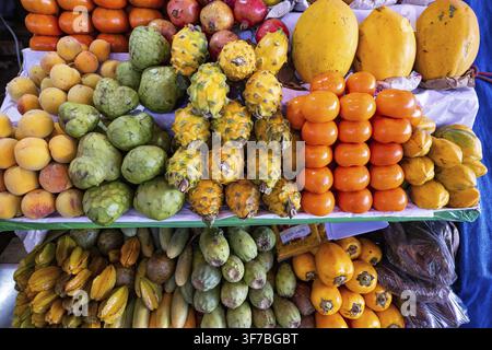 Verschiedene exotische Früchte, Papaya, Cherimoya, Drachenfrucht (gelbe Pitayas), Pfirsiche und Mandarinen an einem Stand in einer Markthalle, Wochenmarkt, Areq Stockfoto