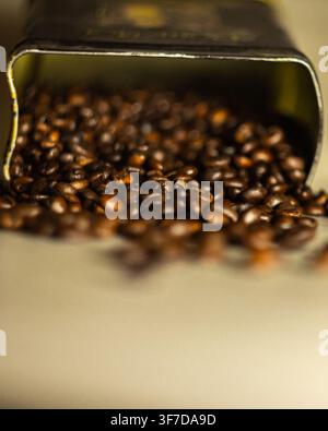 Geröstete Kaffeebohnen, die aus einem Metallbehälter auf hellen Hintergrund quellen, mit Kopierraum, Nahaufnahme-Kaffee-Zutatenkonzept Stockfoto