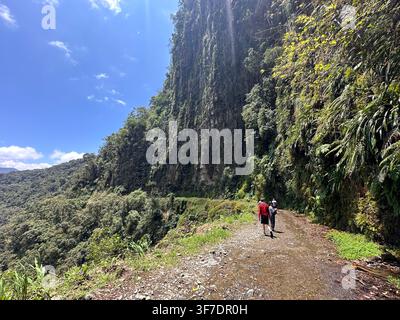 Die Todesstraße, Bolivien - 29. Oktober 2024: Abstieg auf der berühmten gefährlichen Todesstraße (Camino de la Muerte), 3150 Meter Abstieg, 64 km Stockfoto