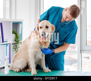 Professioneller männlicher Tierarzt untersucht einen glücklichen Golden Retriever in einem modernen, hellen Klinikbüro Stockfoto