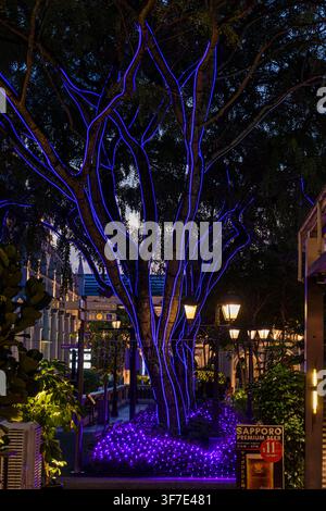 Leuchtender geschmückter Baum bei Nacht im CHIJMES-Komplex, Singapur Stockfoto