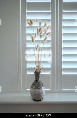 Hasenschwanzgras in einer kleinen Vase platziert und vor weißen, modernen Fensterläden platziert. Stockfoto