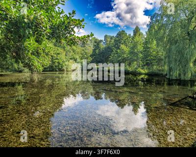 Friedliche Naturszene mit ruhigem See, der dichte grüne Bäume und blauen Himmel widerspiegelt, für Entspannungs- und Wellness-Projekte Stockfoto