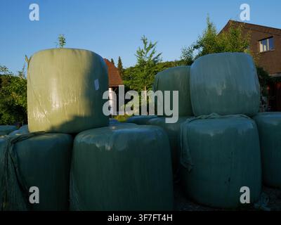 Gestapelte gepackte Heuballen auf einem Bauernhof auf einem ländlichen landwirtschaftlichen Anwesen während des Sonnenuntergangs. Stapel von runden Heuballen, eingewickelt in schützendem grünem Kunststoff Stockfoto