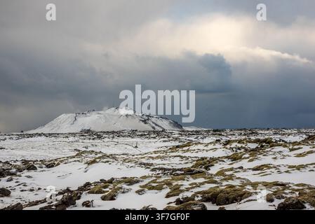 Ein weites vulkanisches Lavafeld, bedeckt mit grünem Moos und frischem Schnee, erstreckt sich in Island, im Hintergrund dominiert von einem schneebedeckten Vulkan, der aussendet Stockfoto