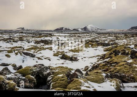 Ein weites und karges vulkanisches Lavafeld, das vollständig mit grünem Moos und weichem Schnee bedeckt ist, erstreckt sich in Island, im Hintergrund begrenzt von Schnee Stockfoto