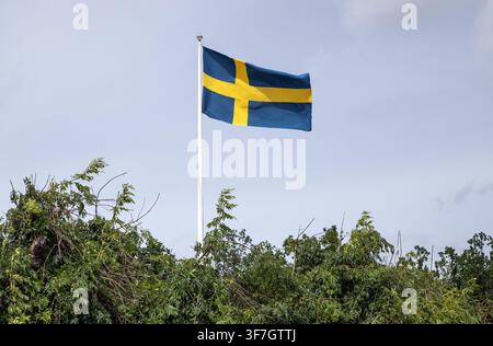 Die schwedische Flagge an einem weißen Flaggenmast ragt aus dem belaubten Wald heraus Stockfoto