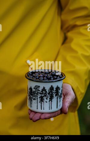Nahaufnahme einer weiblichen Hand, die eine vintage Metalltasse mit frischen wilden Blaubeeren hält Stockfoto