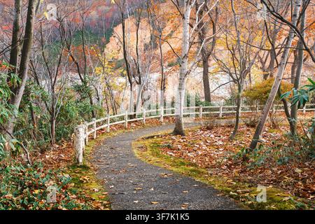 Ein gewundener gepflasterter Weg schlingt sich, verläuft und führt durch farbenfrohes Herbstwaldland mit einem hölzernen Geländer, saisonale Natur, Outdoor-Reisen, Wanderpfad Stockfoto