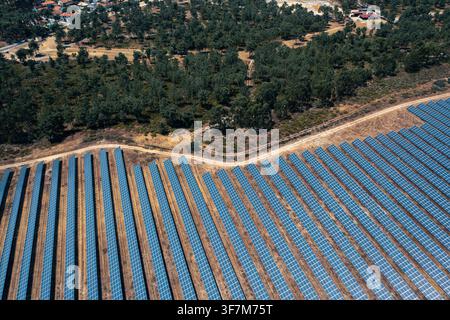 Drohnenansicht einer großen bodengestützten Photovoltaikanlage, die von Bäumen umgeben ist. Stockfoto