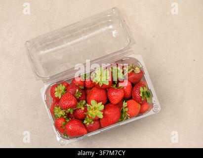 Reife Erdbeeren, die ordentlich in einem durchsichtigen Kunststofftablett auf dem Tisch angeordnet sind, perfekt für Lebensmittelverpackungen und kommerzielle Fotografien. Stockfoto
