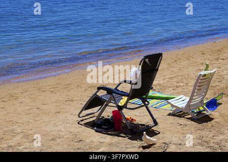 Zwei leere Sonnenliegen am Strand, einige Handtücher und ein weißer Vogel im Sand, Torrevieja, Torrevella, Costa Blanca, Provinz Alicante, Spanien Stockfoto