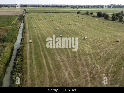 03.08.2026, gemischte Landwirtschaft, Luftaufnahme einer gemähten Wiese mit runden Heuballen oder Strohballen mit einem Entwässerungsgraben Stockfoto