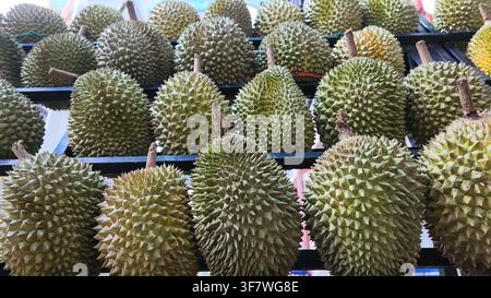 Duranien-Früchte, die auf einem Markt zum Verkauf angeboten werden Stockfoto