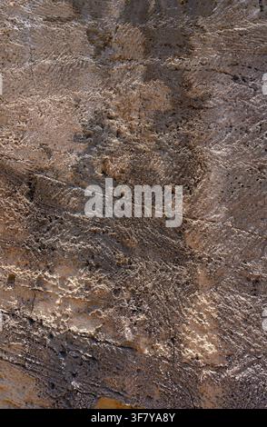 Aufwendige Schnitzereien schmücken eine raue Felsoberfläche und offenbaren antike Kunstfertigkeit in einer Wüstenumgebung voller Geschichte. Stockfoto