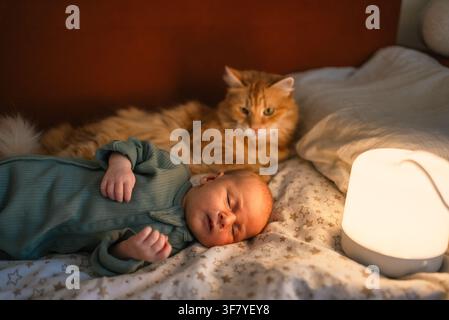 Neugeborenes Baby schläft friedlich neben einer wachsamen orangefarbenen Katze und schafft einen süßen Moment der Geborgenheit und Kameradschaft in einem warmen Schlafzimmer mit sanfter Beleuchtung Stockfoto