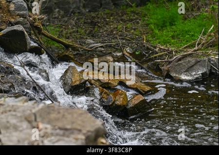 Kleiner Wasserfall stürzt über nasse Steine in einem Bergwald. Ein schneller Bach stürzt über Felsen und erzeugt weißen Schaum und Spritzer. Schöne Kaskade von klarem Stockfoto