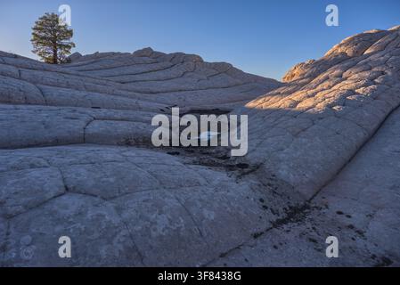 Farbenfrohe Sandsteinformationen zeigen einzigartige Muster im White Pocket bei Sonnenuntergang im Vermilion-Cliffs-Nationalmonument in Arizona Stockfoto