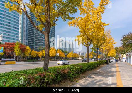 Hochhäuser und Herbstfarben unter sonnigem Himmel im Yongsan-Bezirk von Seoul, Südkorea Stockfoto
