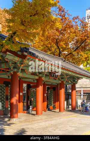 Ansicht von Herbstblättern und Eingangstor im Tapgol-Park in Seoul an einem sonnigen Tag in Südkorea Stockfoto