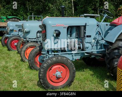 Vintage Eicher-Traktoren werden beim Oldtimerdag Eichter Traktoren in Ruinerwold, Niederlande, ausgestellt – klassische landwirtschaftliche Maschinen und ländliches Erbe. Stockfoto