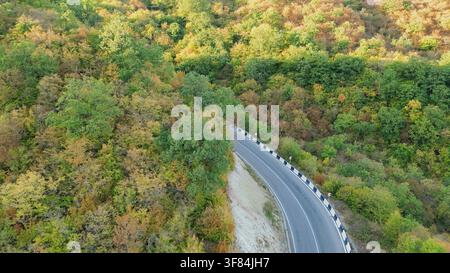 Luftaufnahme von einer sich windenden Asphaltbergstraße, die sich durch ein dichtes Herbstwald-Baumdach mit farbenfrohem gelbem und grünem Laub in Georgi schlängelt Stockfoto