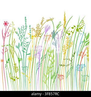 Grüne Silhouetten von Gras, Blumen und Kräutern isoliert auf weißem Hintergrund. Handgezeichnete Blumen und Gras Stock Vektor