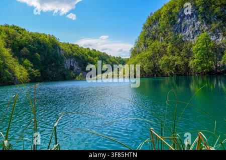 Der Nationalpark Plitvicer Seen ist einer der ältesten und größten Nationalparks in Kroatien. Stockfoto