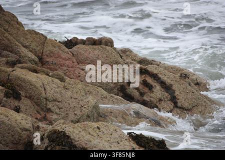 Wellen, die an der Küste von Mull auf den Strand schlagen Stockfoto