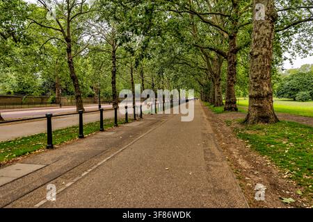 Baumgesäumter Fußweg, der entlang der Rotten Row im Hyde Park in London, England, verläuft. Stockfoto