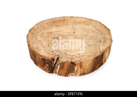 Ein Schnitt eines alten Holzstamms. Holz auf weißem Hintergrund. Stockfoto