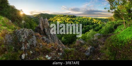 Panorama-Landschaft mit Frühlingsgrüner Wald in der Slowakei in der Nähe der Burg Cerveny Kamen Stockfoto